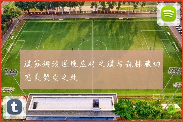 道苏姆谈逆境应对之道与森林狼的完美契合之处