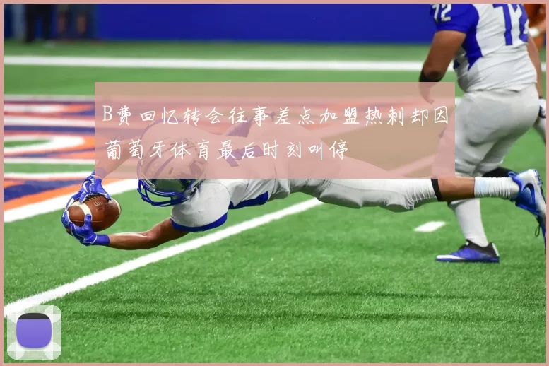 B费回忆转会往事差点加盟热刺却因葡萄牙体育最后时刻叫停