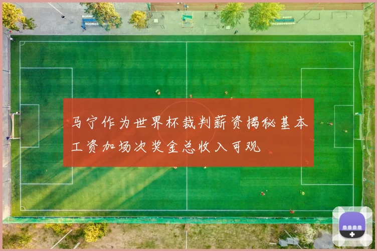 马宁作为世界杯裁判薪资揭秘基本工资加场次奖金总收入可观